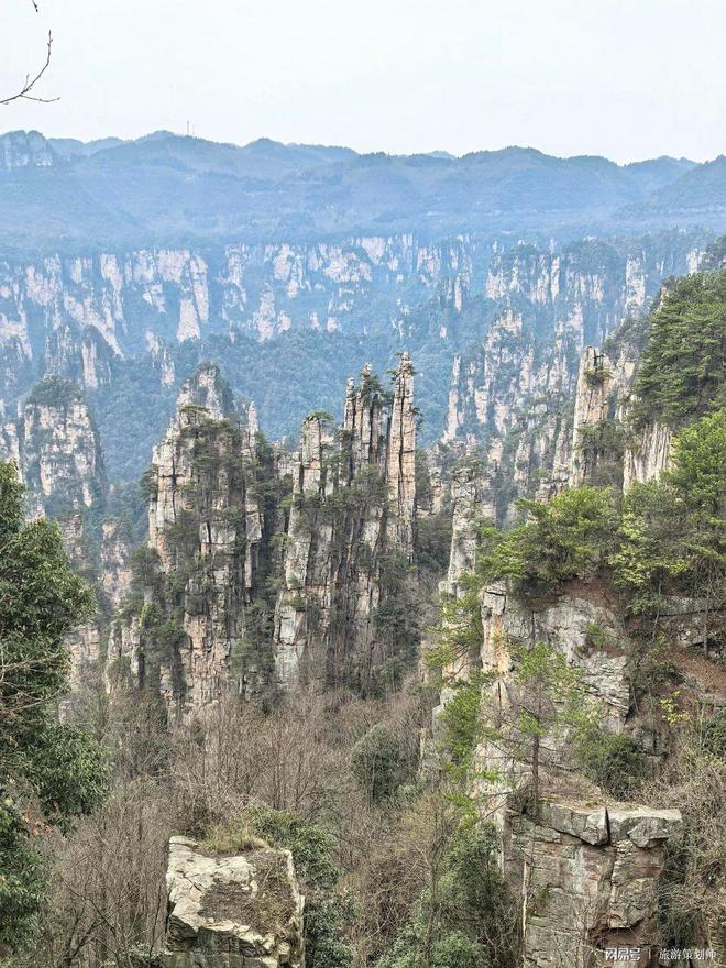 规旅行社靠谱价格速看！张家界旅游团报价5日正(图1)