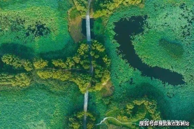 测-鹿溪雅园售楼中心详情户型 小区配套鹿溪雅园售楼处欢迎您 2025楼盘评(图39)
